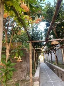 Palazzo Bonaventura 1906