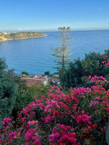 Appartements Luxueux appartement avec piscine privative et magnifique vue mer a deux minutes de monaco : photos des chambres