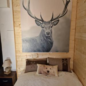 Appartements font romeu : photos des chambres