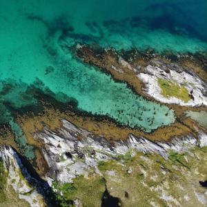 NEW! Luxury Cabin in beautiful Lofoten