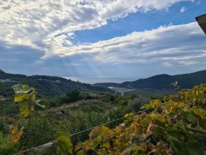 Villa Deloik Ante`s Hill House