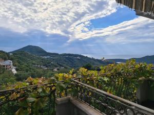 Villa Deloik Ante`s Hill House