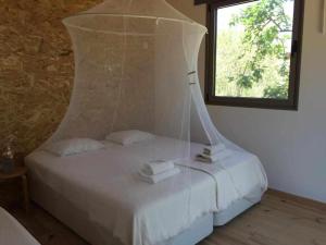 Suite with Garden View room in Biovilla Sustentabilidade