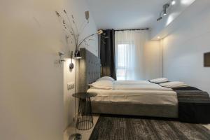 Studio no5 Sighișoara