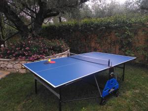 Zante Lagos holiday homes Treehouse and Villa