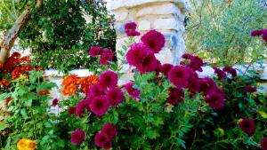 Finnish wooden house for 2 people