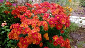 Finnish wooden house for 2 people