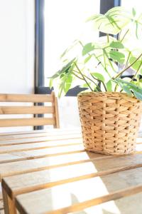 Travel & Live Alegria Apartments