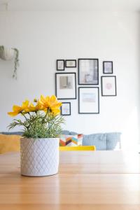 Travel & Live Bolhão apartments