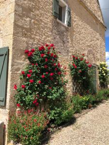 Maisons de vacances Les Sauges : photos des chambres