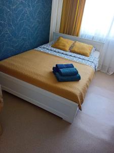 Apartament Ajrisa 17