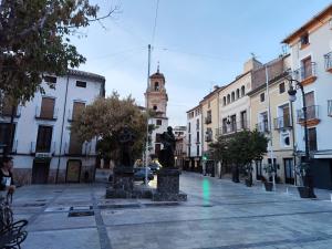 Apartament pod Palmami Bajo las Palmeras