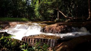 Siem Reap Homesteading II