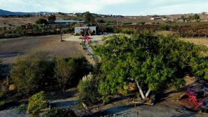 Finca Vidandrei CASA MAZAHUA