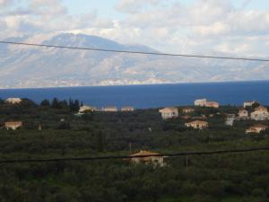 Zante View Studios & Villas