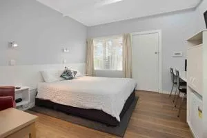 The Tree Motel - Narooma