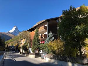 Eagle apartment with splendid and direct view of the Matterhorn