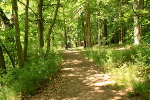 Apartmán uprostřed trojúhelníku Praha - Karlovy Vary - Plzeň