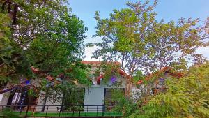 Trang An Nature View Homestay