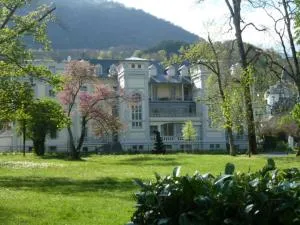 Appartement dans Résidence ( parc thermal Argeles Gazost) - 皮埃尔菲特－内斯塔拉