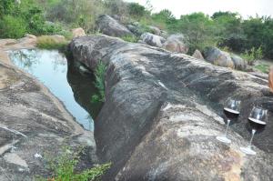 Wild Trails Yala by Suri