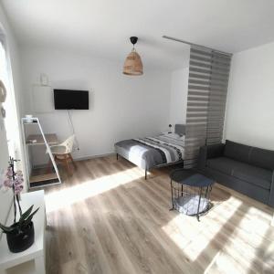 Appartements Spacieux studio dans residence avec parking prive : photos des chambres