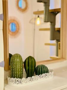 Ravissant studio en plein centre de Marseille