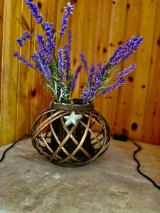 NadSan Mountain House