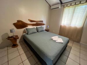 Casa Tropical Playa Grande