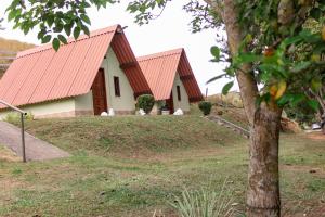 Pousada e Pesque e Pague Vista Alegre