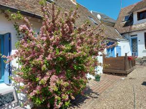 Maisons de vacances Chez Robins : photos des chambres