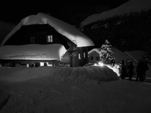 Haus Heidi Apartment Bergblick