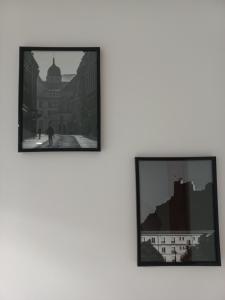 Studio : le petit comtois
