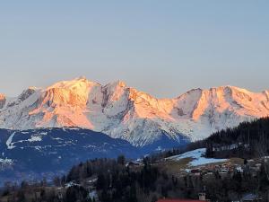 Chalets Chalet a Cordon face a la chaine du Mont Blanc : photos des chambres