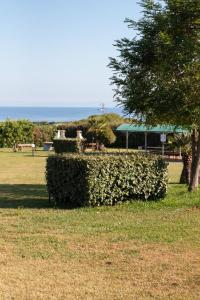 Valledoria 2 Apartments img20