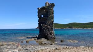 Appartements La Casa Poli un tiny loft au Cap Corse : photos des chambres