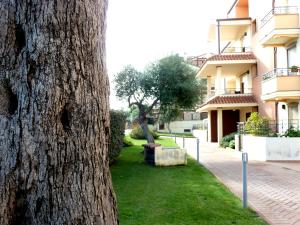 Borgo degli Ulivi img121