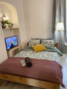 Appartements Charmant studio proche du centre et des thermes : photos des chambres