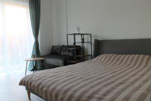 Studio cu grădina proprie