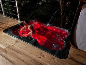 Alsace kota évasion & Spa la canopée