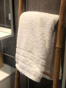 Appartements Superbe appartement centre ville proche des pistes : photos des chambres