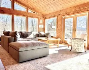 Bear's Eye View - Delhi