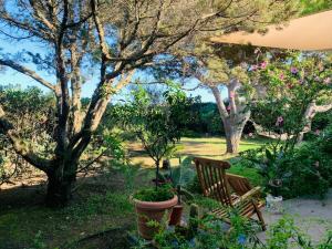 Luxury house with sea view img6