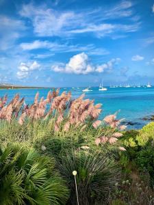 Luxury house with sea view img39