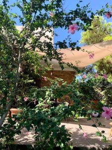 Luxury house with sea view img14