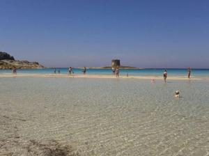 Luxury house with sea view img45