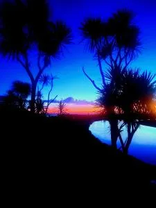 Marokopa one four double one - Mokau