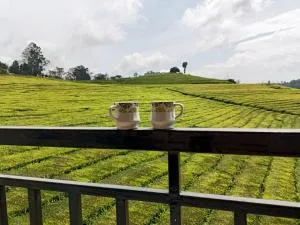 Tea Estate view stay - Pykāra