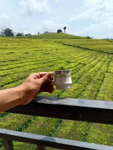 Tea Estate view stay