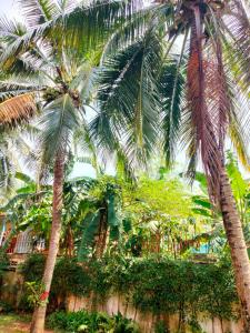 The Park Pool Villa Pattaya